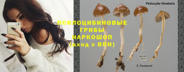 трава Ветлуга