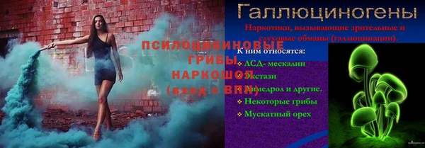 шишки Горно-Алтайск