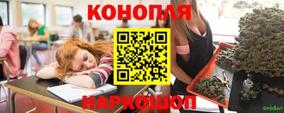 каннабис Будённовск